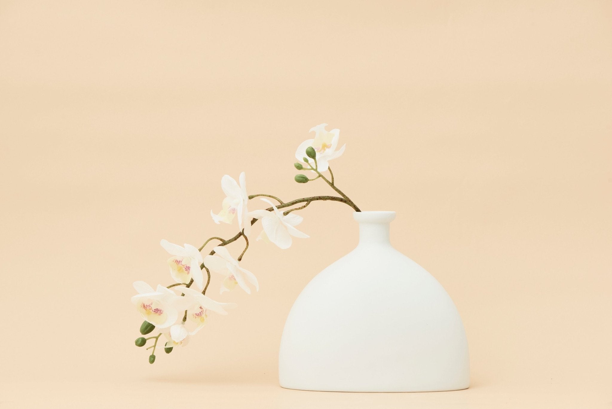 Alisha - Smooth A shape Vase | Kitchen & Homeware Australia | Pullen and Co