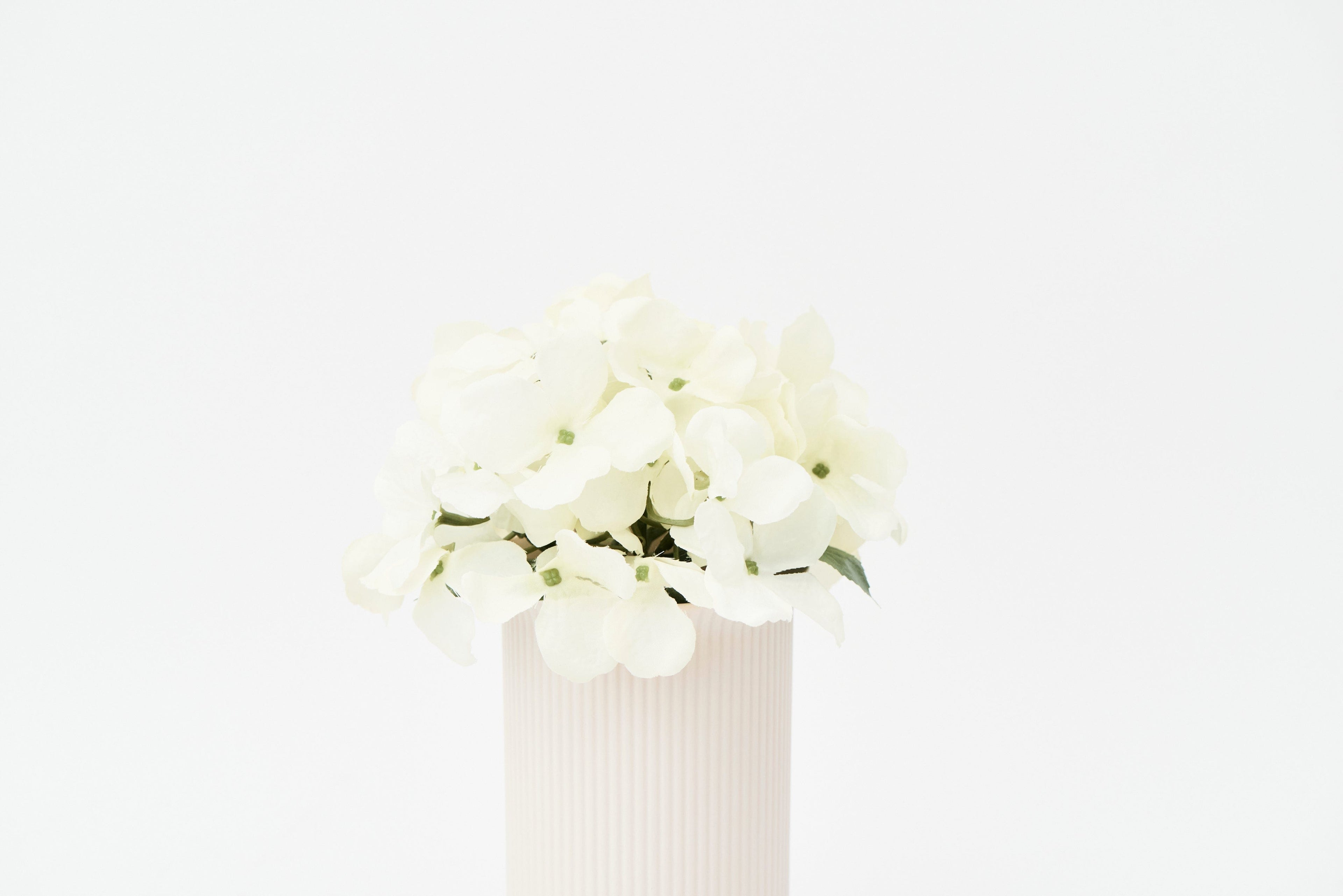 Pullen and Co Home Decor Hayley - Ribbed Blush Vase (7641530138795)