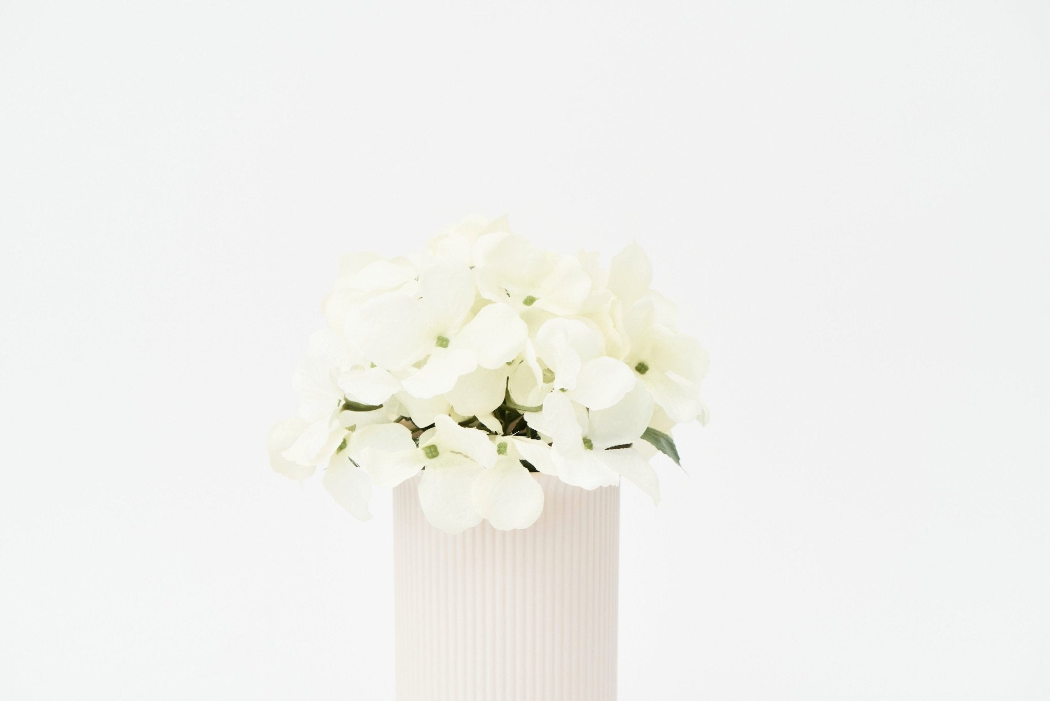 Hayley - Ribbed Blush Vase | Kitchen & Homeware Australia | Pullen and Co