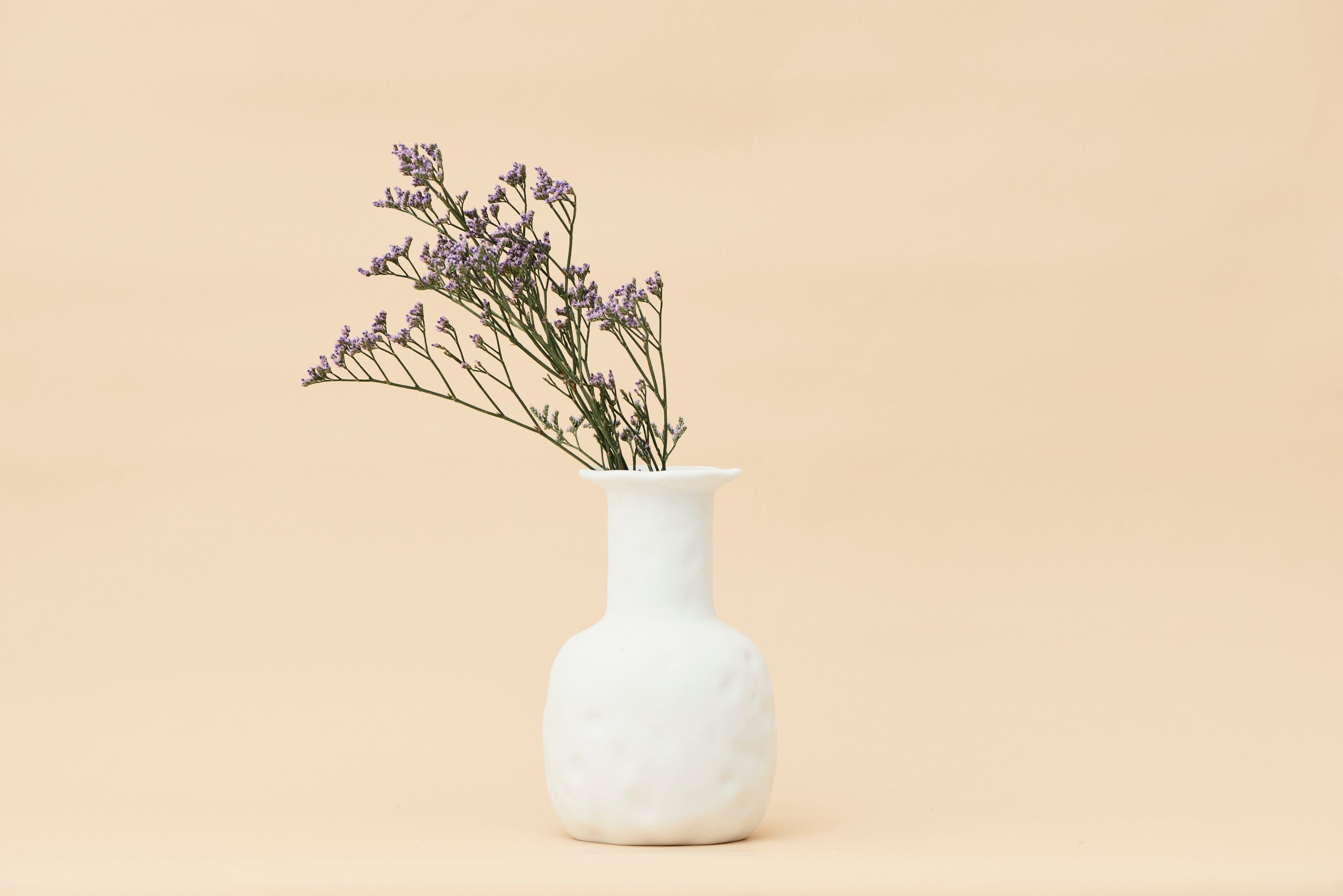 Pullen and Co Home Decor Nessa - Classic Organic Vase (7641527582891)