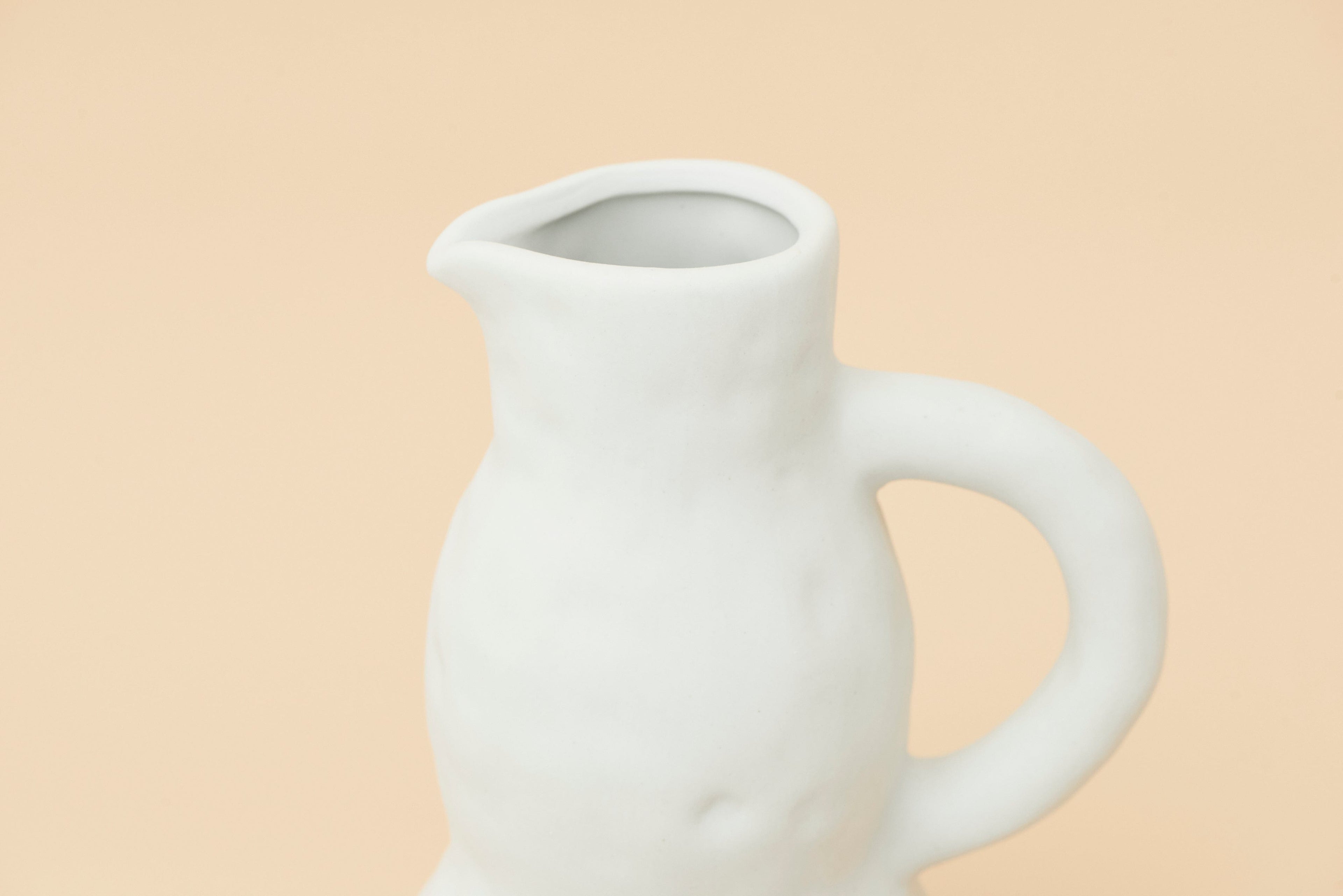 Pullen and Co Home Decor Eleanor - Classic Pitcher Organic Vase (7641528107179)