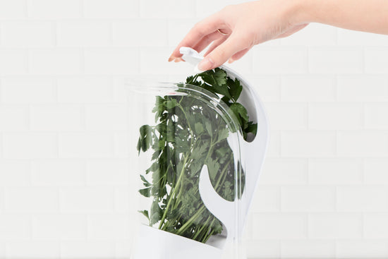 Pullen and Co Kitchen Organizers Ultra-Fresh ™ Swing Herb Keeper (7347345064107)