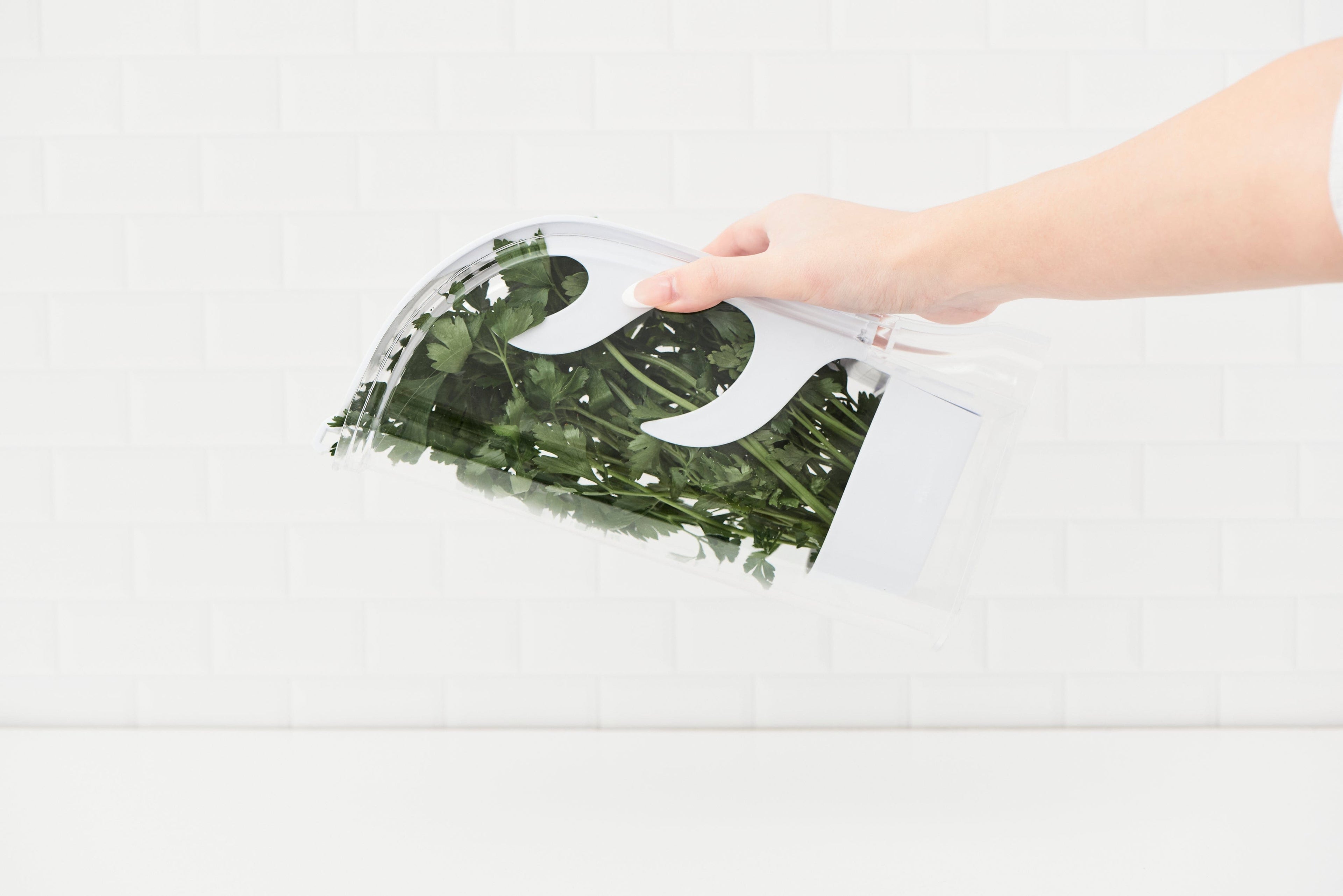 Pullen and Co Kitchen Organizers Ultra-Fresh ™ Swing Herb Keeper (7347345064107)